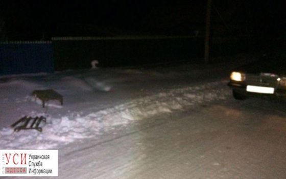 Две девушки катались на санках по дороге и попали под встречную машину (фото) «фото»