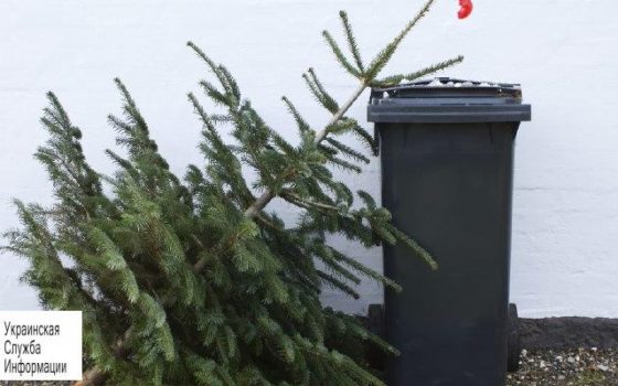 Одесситов просят не выбрасывать елки: их опилками утеплят вольеры в зоопарке «фото»
