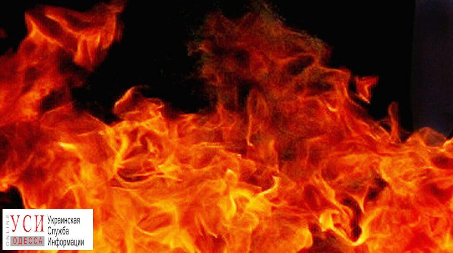 70-летняя одесситка сгорела в своей квартире: возможен поджог «фото»