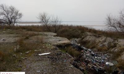 Зимняя Затока: во что превратились лиман и знаменитая набережная (фото) «фото»