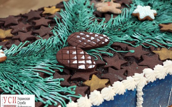 Рождество на Думской: колядки и торт весом в 500 кг (фоторепортаж) «фото»