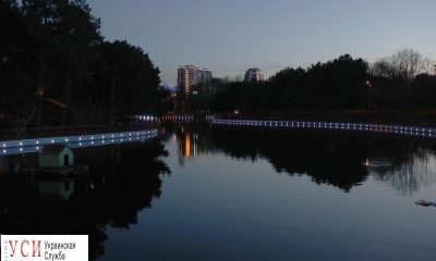 В парке Победы появился “Сказочный пруд” (фото, видео) usionline.com В парке Победы появился “Сказочный пруд” (фото, видео) «фото»