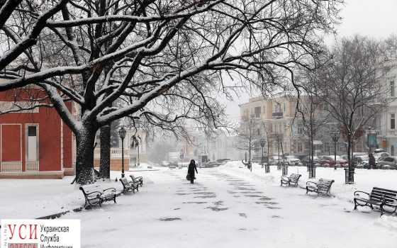 Итоги недели: удар стихии, расстрел на Новосельского и новые жертвы кори «фото»
