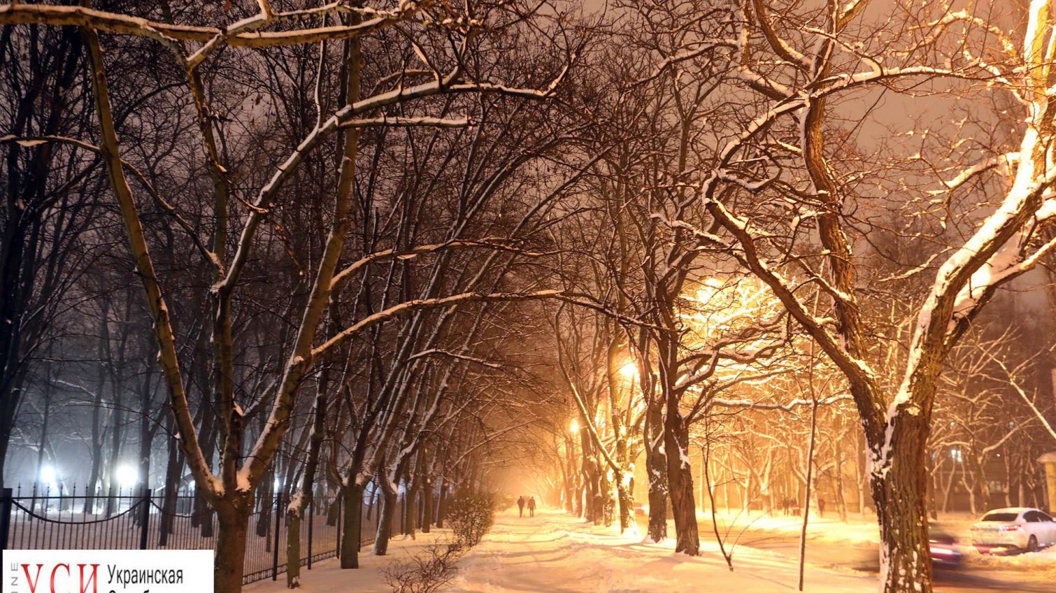 Улица, фонарь и снеговик: как выглядит ночная Одесса после метели (фоторепортаж) «фото»