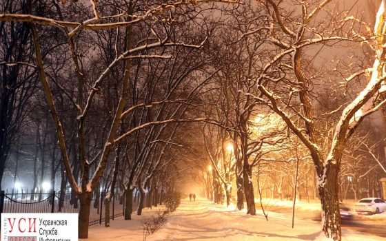 Улица, фонарь и снеговик: как выглядит ночная Одесса после метели (фоторепортаж) «фото»