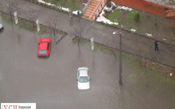 Вместо зимы в Одессу пришла настоящая осень (фото, видео) «фото»