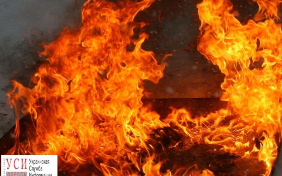 В Одесской области на месте пожара обнаружили тело женщины «фото»