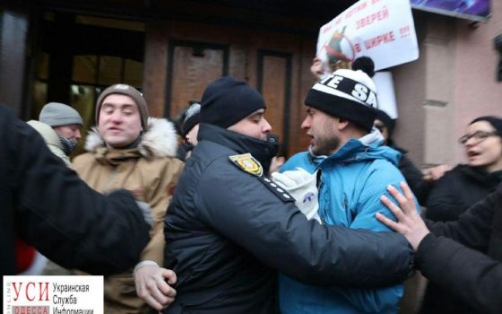 В Одессе на акции зоозащитников произошла драка (фото) «фото»