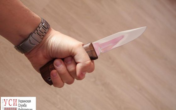 В Теплодаре мужчина порезал родную сестру «фото»