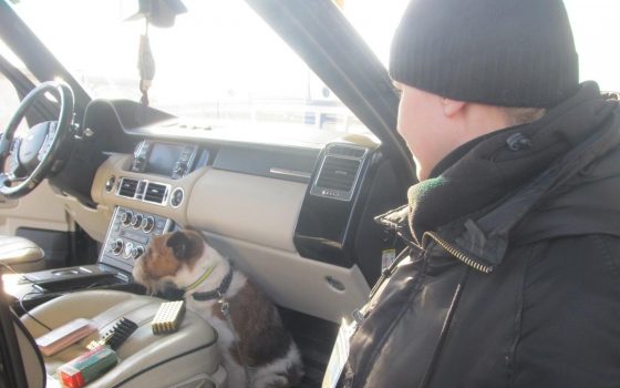 На границе задержали иностранца, который вез патроны в Россию (фото) «фото»