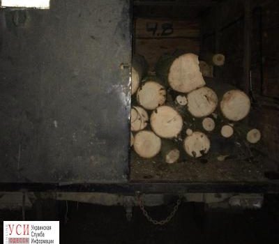 На границе задержали “черных” лесорубов (фото) «фото»