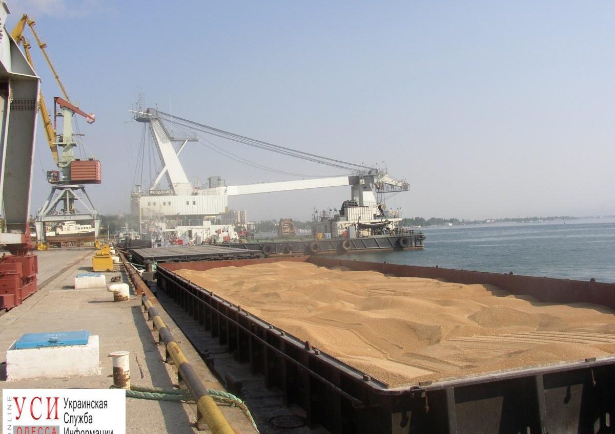 Одесские порты обеспечили Индию половиной зернового импорта из Украины «фото»