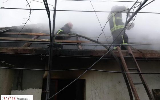 В Рени потушили масштабный пожар (фото) «фото»