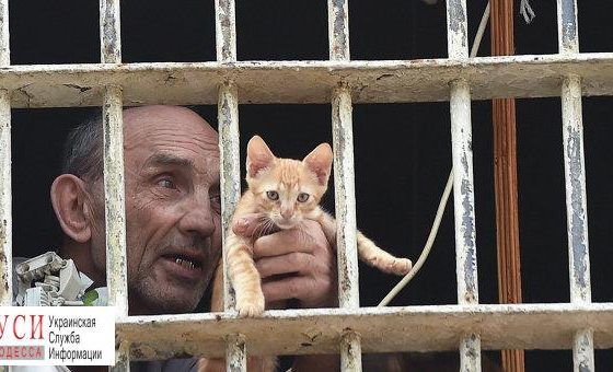 Одесским заключенным разрешат заводить рыбок, котов и собак «фото»