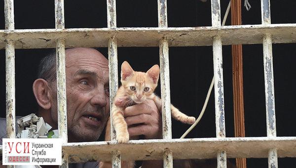 Одесским заключенным разрешат заводить рыбок, котов и собак «фото»