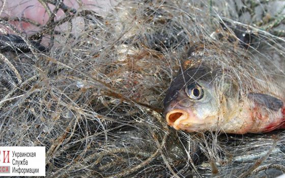 На Хаджибейском лимане поймали браконьера, который нанес ущерб государству на полтора миллиона гривен «фото»
