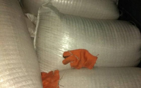 В Одессе железнодорожник с подельником украл из вагона 19 мешков пшеницы (фото) «фото»