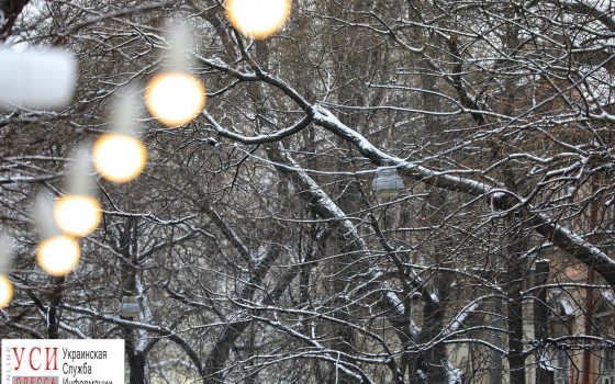 Зима 2.0: за пять дней до весны в Одессе снова выпал снег (фоторепортаж) «фото»