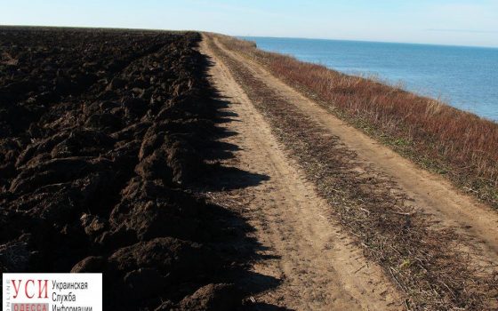 Из-за распашки заповедных степей из Одесской области могут исчезнуть журавли (фото) «фото»