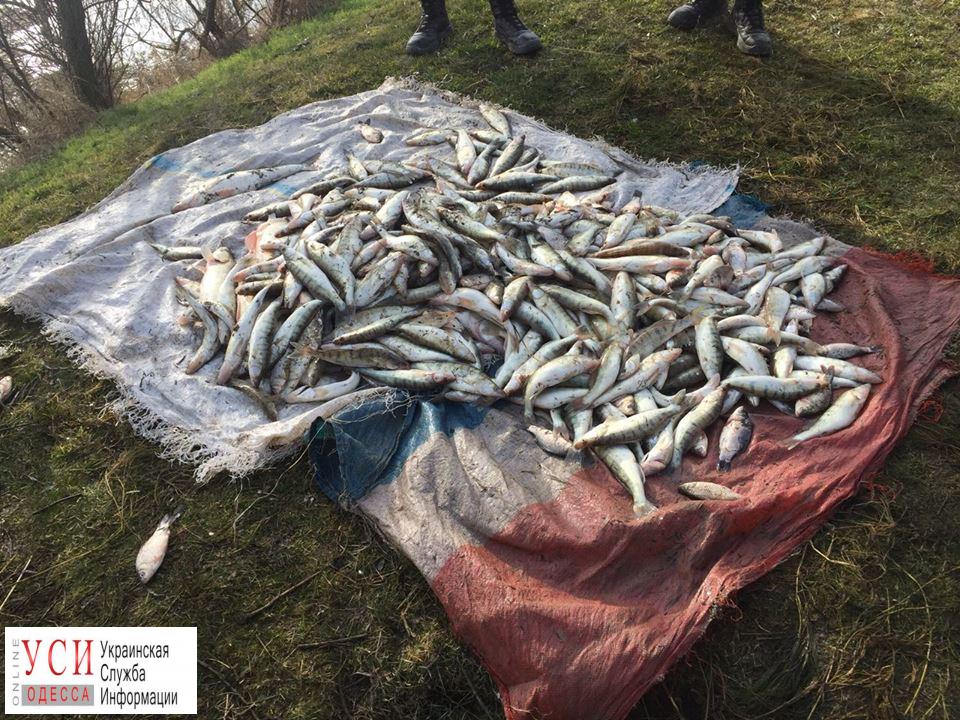 Одесские пограничники обнаружили браконьеров с крупным уловом (фото) «фото»