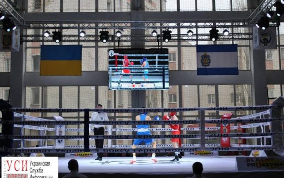 Боксеры из Одесской области отправятся на чемпионат Европы (фото) «фото»