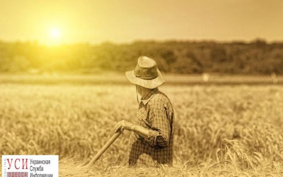 Одесским фермерам предлагают 6 миллиардов в рамках господдержки «фото»