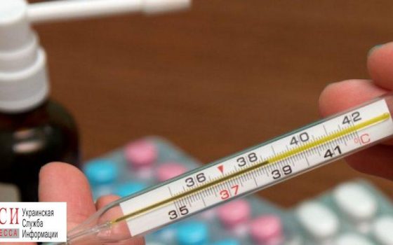 В Одессе 33 класса закрыты из-за ОРВИ: число заболевших стремительно растет «фото»