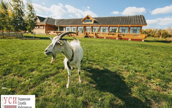 Благодаря помощи норвежцев, ветераны АТО запустили 5 бизнес-проектов в Одесской области «фото»