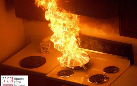 В Одесской области из-за пожаров погиб 31 человек «фото»