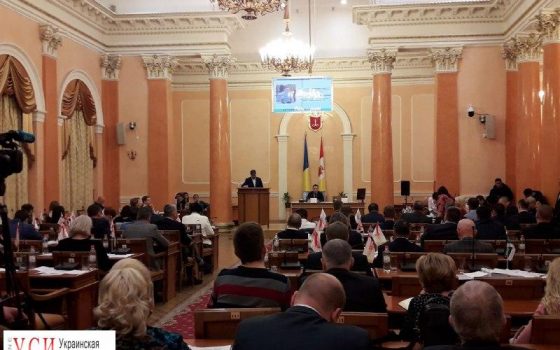 Большие планы экологов: крематорий для бездомных животных, скорая помощь и новые площадки для выгула собак «фото»