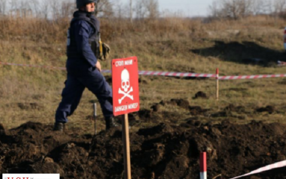 В Тарутинском районе обнаружили 38 боеприпасов «фото»