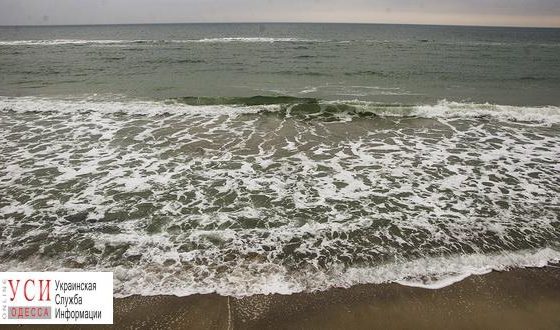 На “Золотом берегу” нашли утопленницу (фото) «фото»