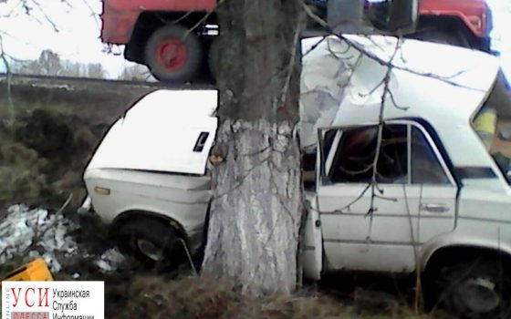 В Одесской области легковушка влетела в дерево: пострадавших доставали спасатели (фото) «фото»