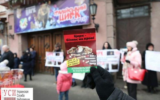Под Одесским цирком призывали не использовать животных для развлечения (фото) «фото»
