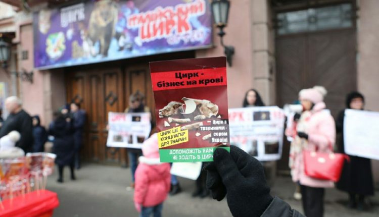 Под Одесским цирком призывали не использовать животных для развлечения