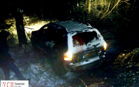 Во время снегопада в Одесской области несколько машин вылетели в кювет (фото) «фото»