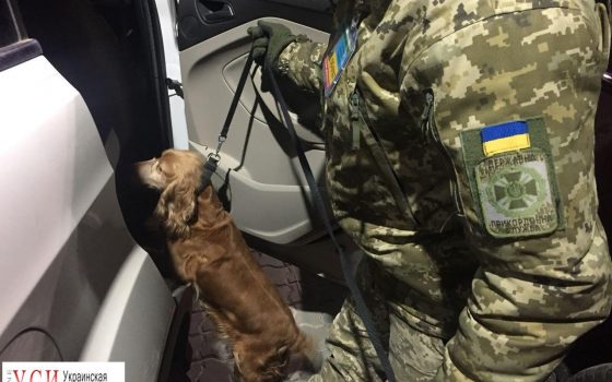 Одесские пограничники обнаружили патроны, незаконно привезенные из Нью-Йорка (фото, видео) «фото»