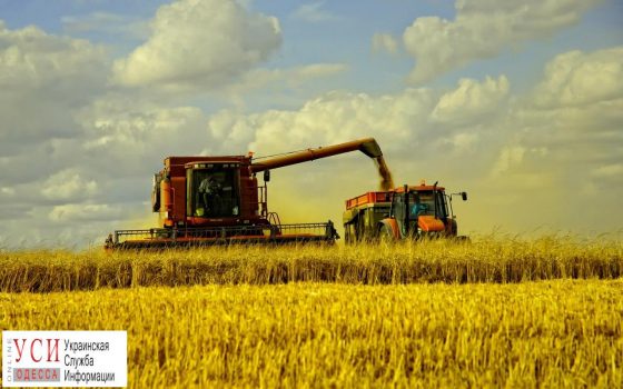 В Одесской области планируют сдать в аренду сельхозземли: это принесет до 230 миллионов гривен «фото»
