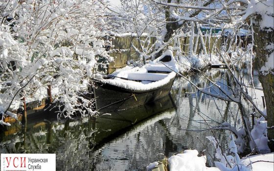 Одесских чиновников призывают обратить внимание на Украинскую Венецию: Вилково на грани катастрофы «фото»