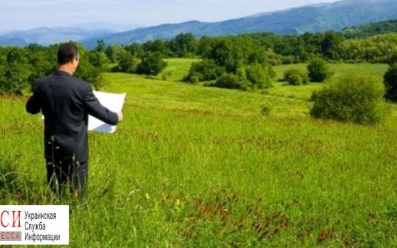 В Одесской области сдали в аренду с аукциона за месяц 926 гектаров земли «фото»