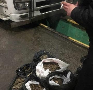 Контрабандисты пытались переправить 18 кг янтаря в Турцию: там его можно продать за десятки тысяч долларов (фото) «фото»