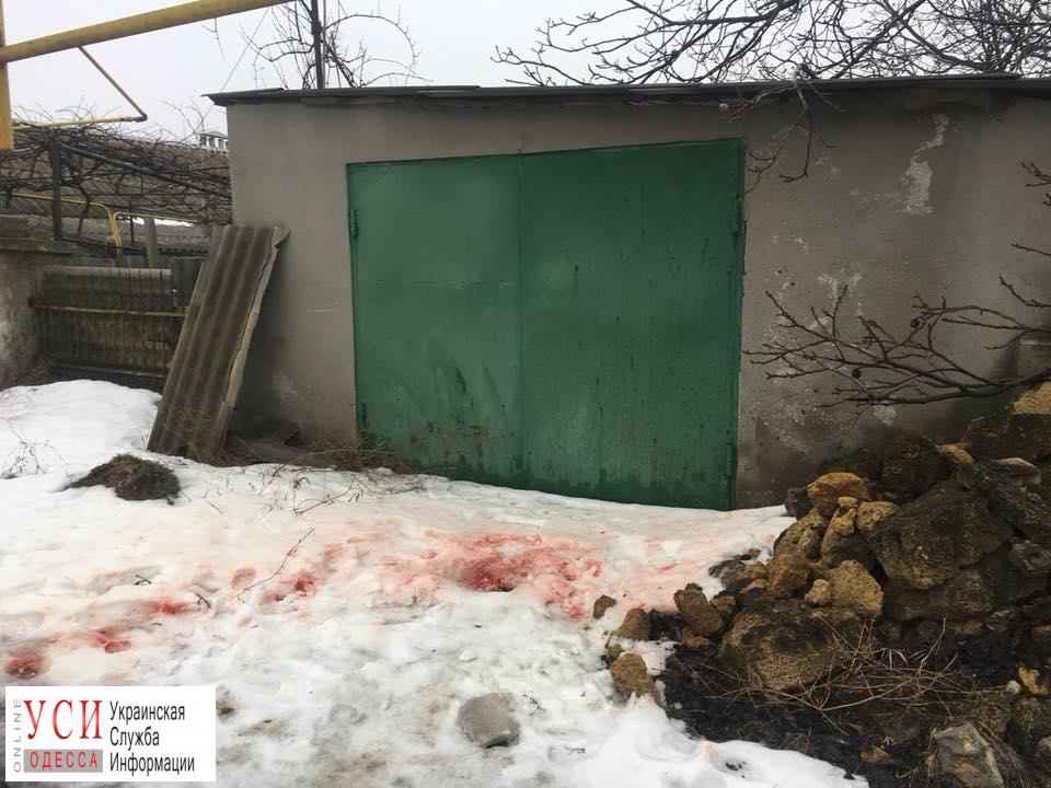 В Одесской области мужчина избил своего знакомого до комы (фото) «фото»