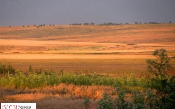 Фермерское хозяйство проиграло в суде битву за земли Тарутинского полигона «фото»