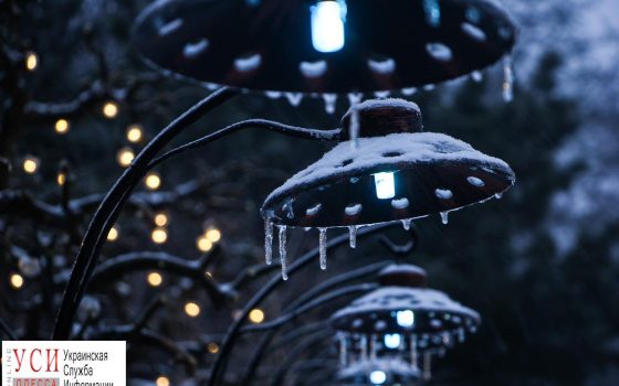 Одесса во льду: как преобразилась природа в минусовую температуру (фоторепортаж) «фото»