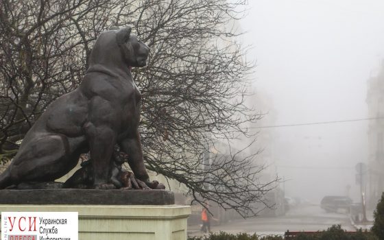 Дюк укутался в шарф — утренний туман накрыл Одессу (фоторепортаж) «фото»