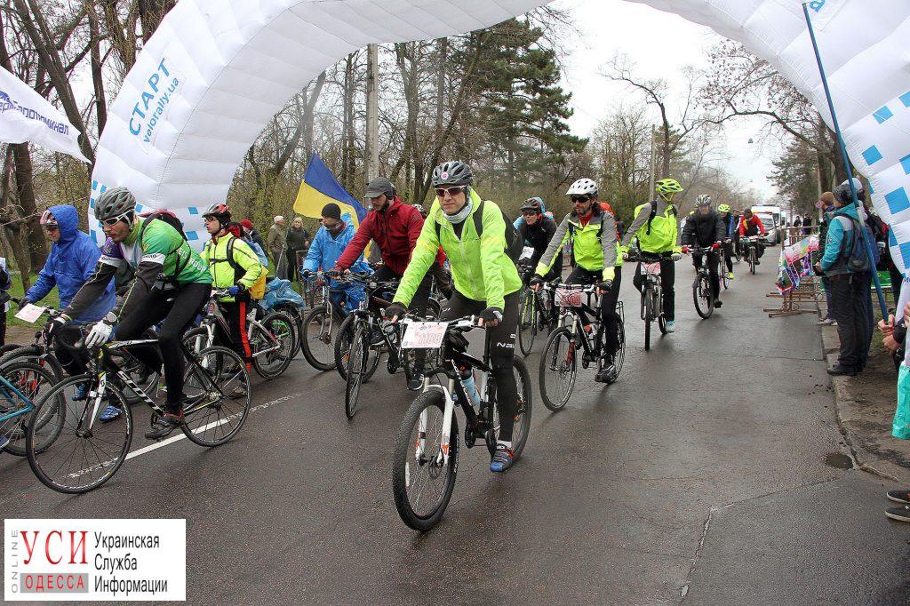 В одесской “сотке” примут участие более 2 тысяч велосипедистов и 100 бегунов «фото»