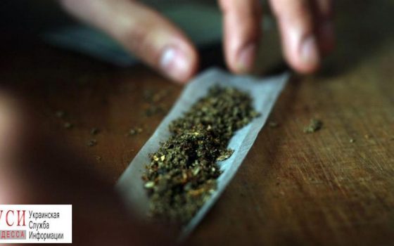 Житель Одесской области получил срок за хранение каннабиса «фото»