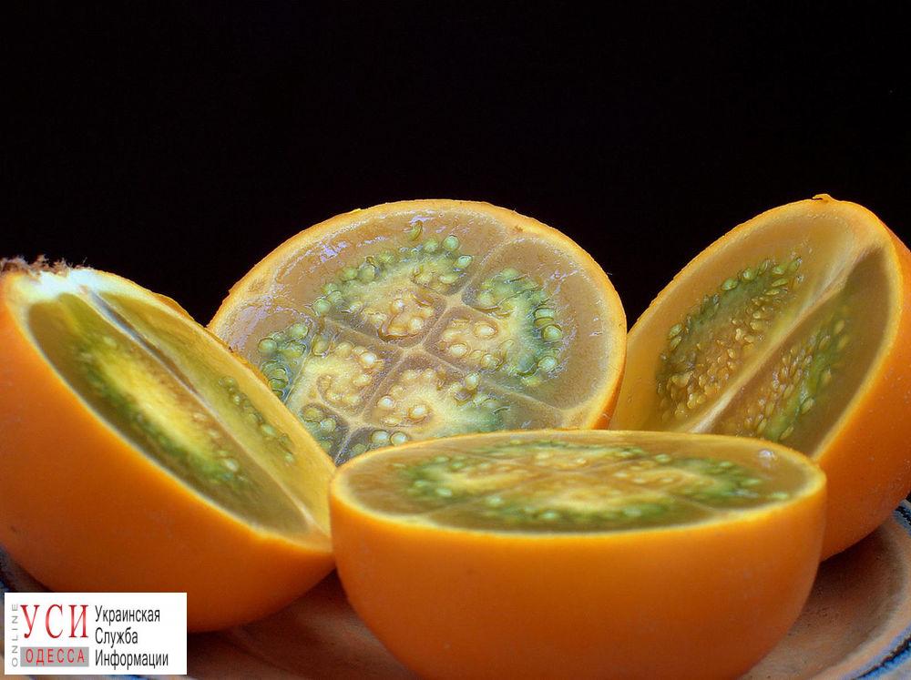 В Одесскую область из Эквадора доставили рекордную партию фруктов «фото»