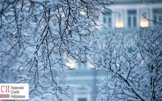 В Одесскую область снова идут сильные снегопады «фото»