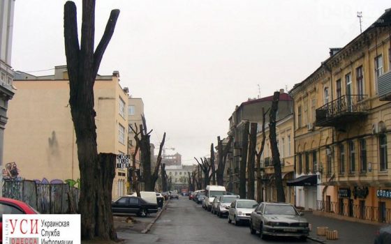 Часть Красного переулка закроют шлагбаумом и запретят в нем парковаться «фото»